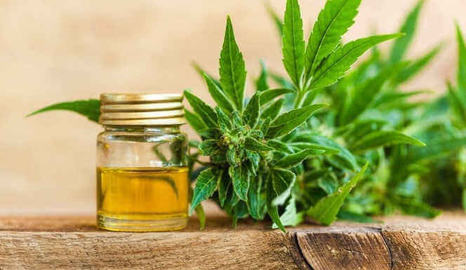 CBD Oil for Anxiety