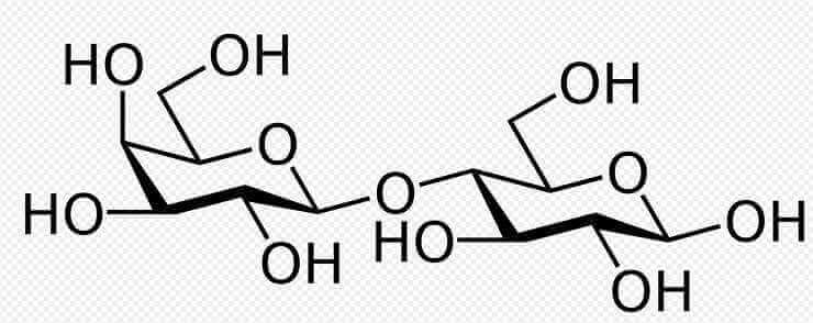 simple carbohydrate